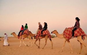 Camel Tour Dubai Desert | Camel Riding Desert Safari Dubai Tour