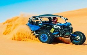 Read more about the article Dune Buggy Rental