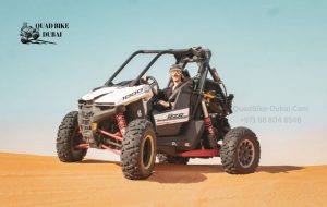Read more about the article Top 5 Dubai Dune Bashing Tours