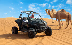 Dubai Red Dunes Deep Desert Dune Buggy Tour | UAE #1 Desert Buggy Ride In Dubai
