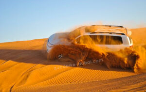 Desert Safari Dubai Red Dunes Thrilled Dunes Bashing Tour