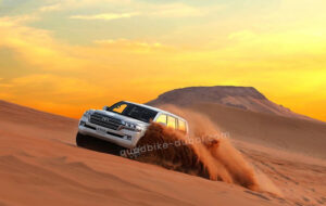 Thrilled Dune Bashing Dubai Desert Safari Tour